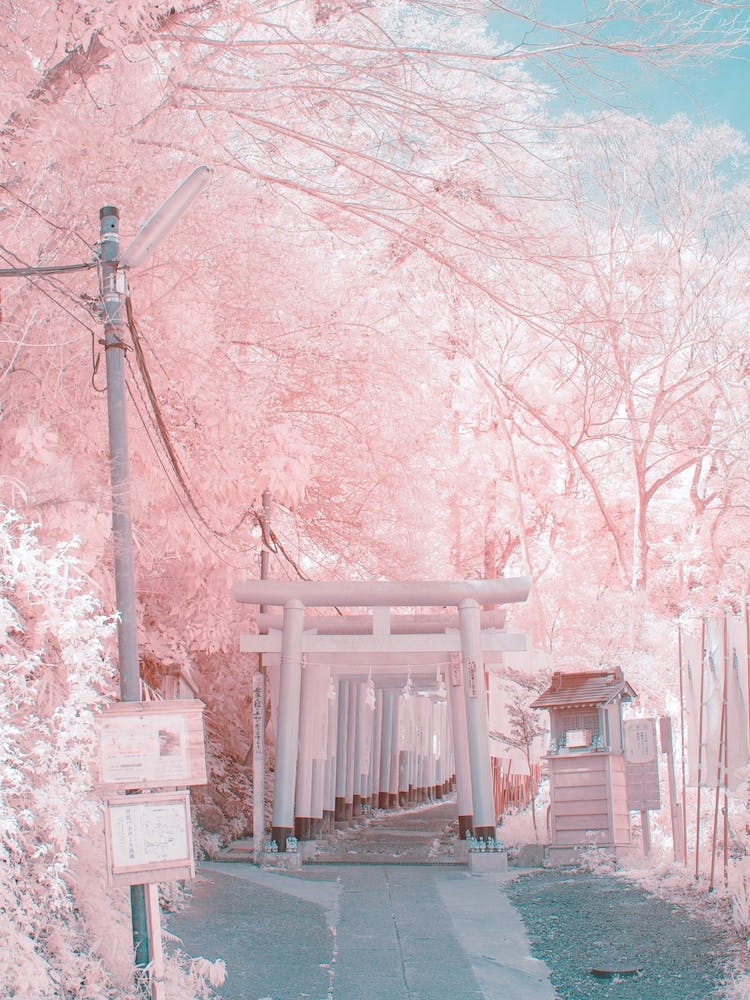 Infrared Photography