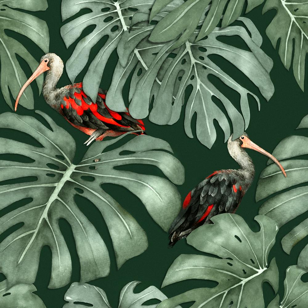 Ibis Monstera Carré