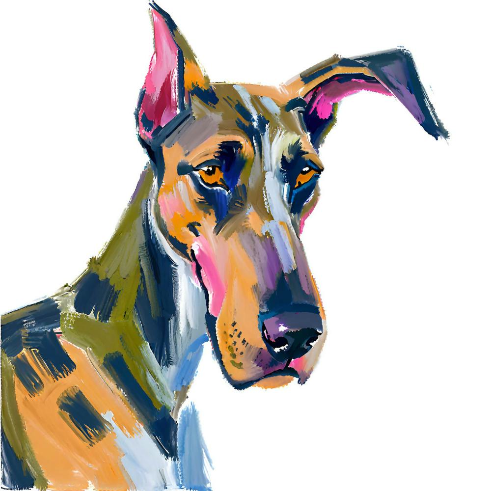 Great Dane 04
