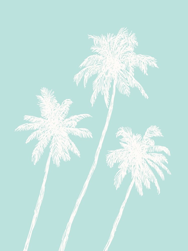 Palm Trees Aqua