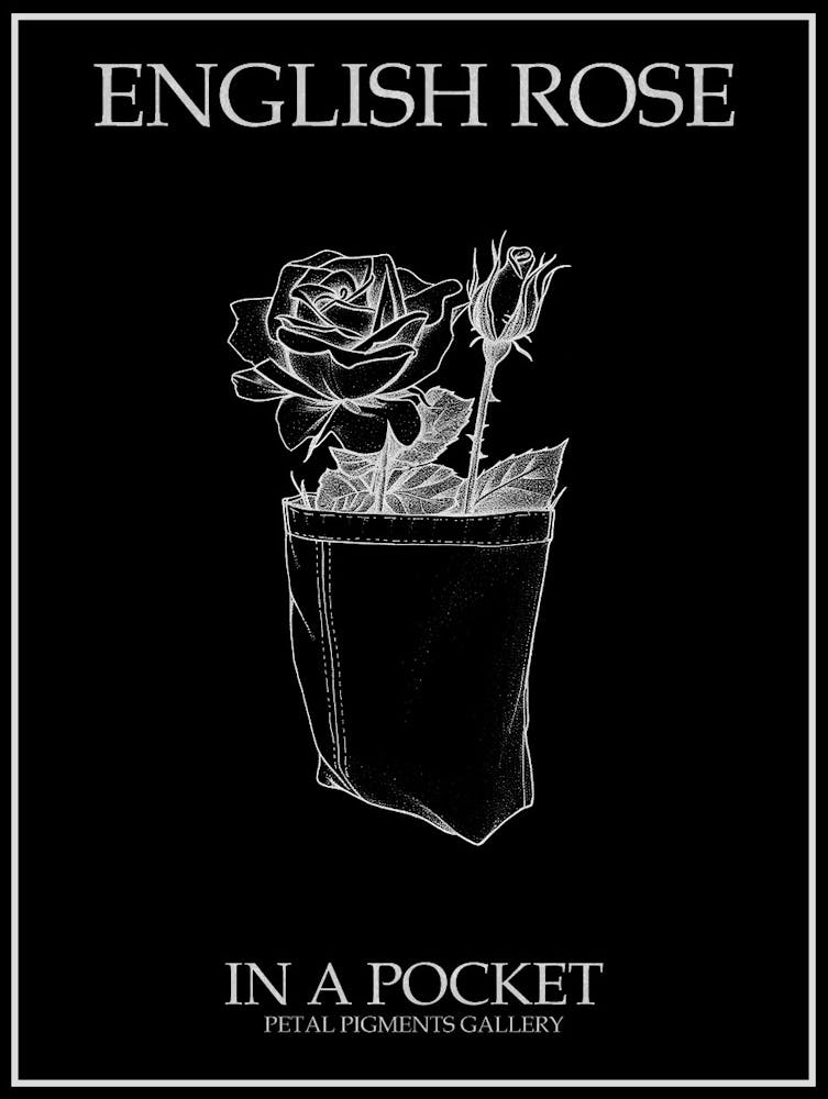 Englische Rose in einer Tasche Strichzeichnung 3 Poster Invertiert