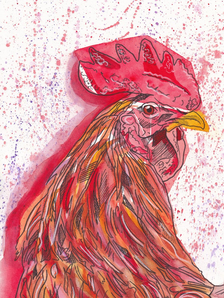 Rooster in Red