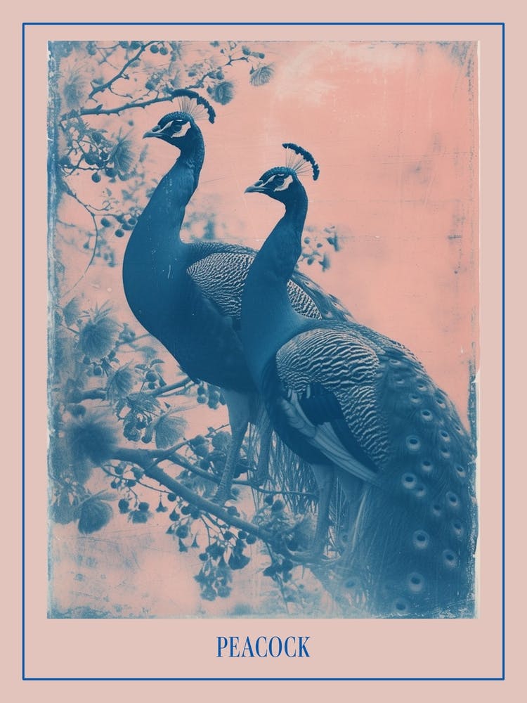 Two Peacocks On A Tree Pink Cyanotype Inspired Poster