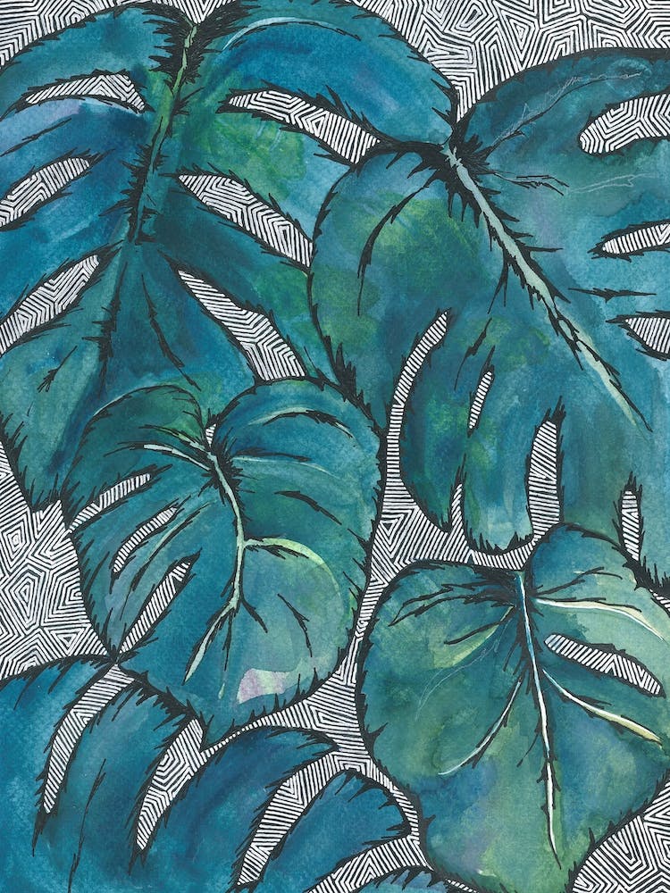 Monstera, Monstera
