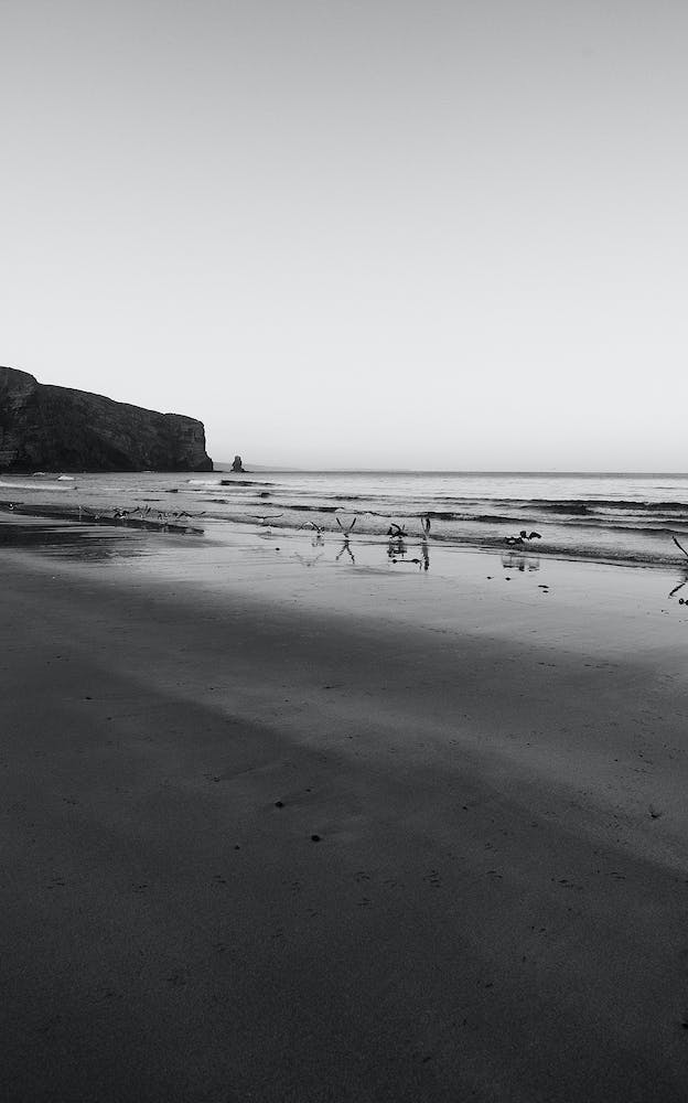 Morning Seagulls