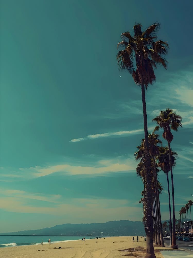 Palm Trees On The Beach 5