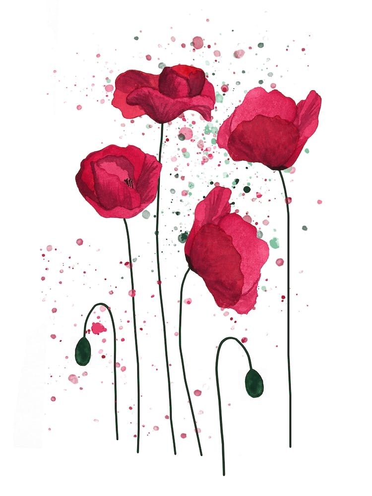 Poppies Watercolour