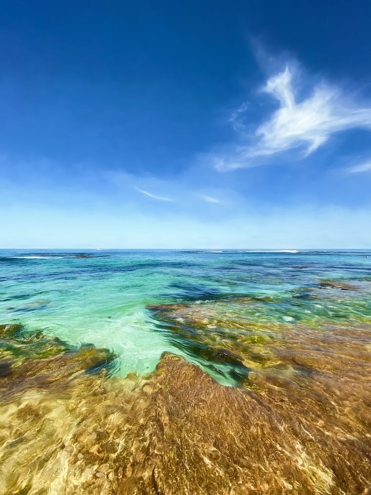 Penguin Island Coastline One