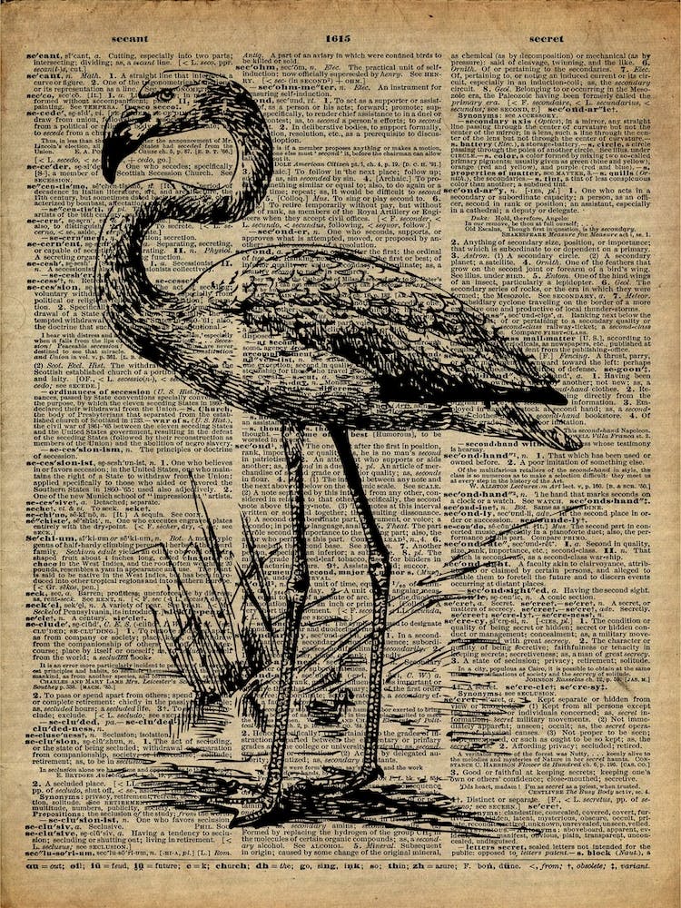 Flamingo Bird