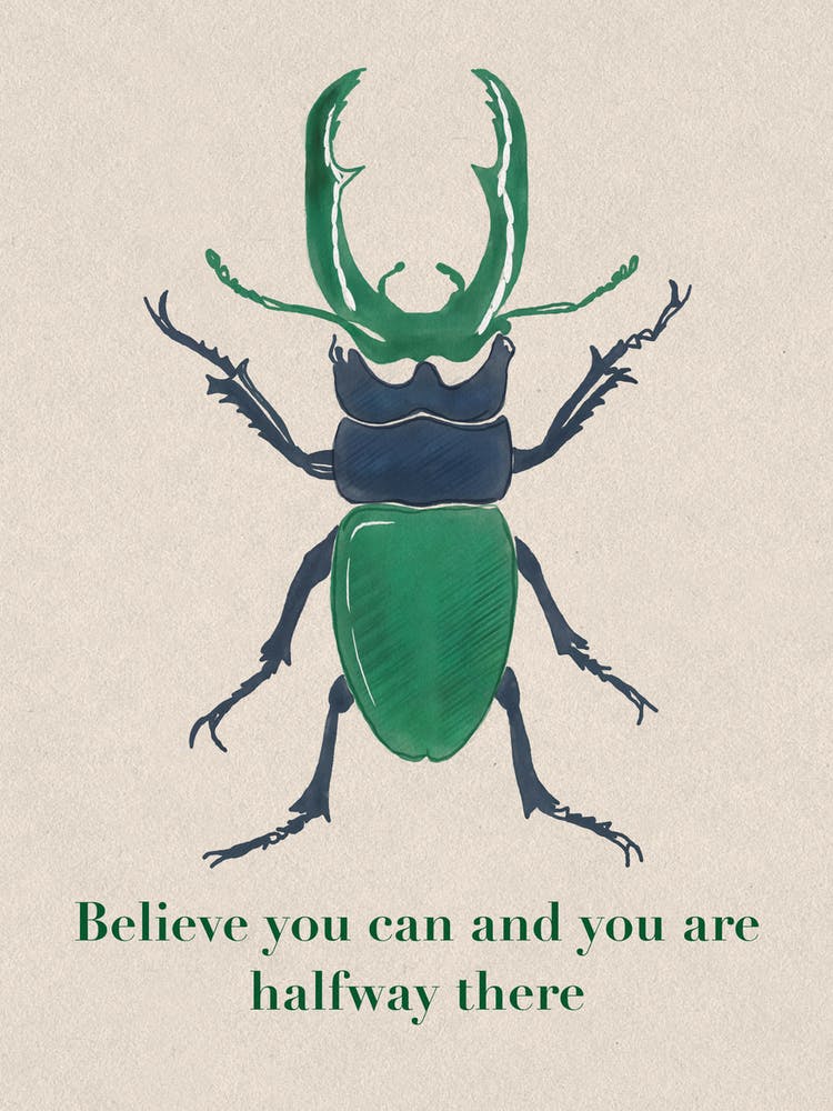 Believe You Can And You Are Halfway There