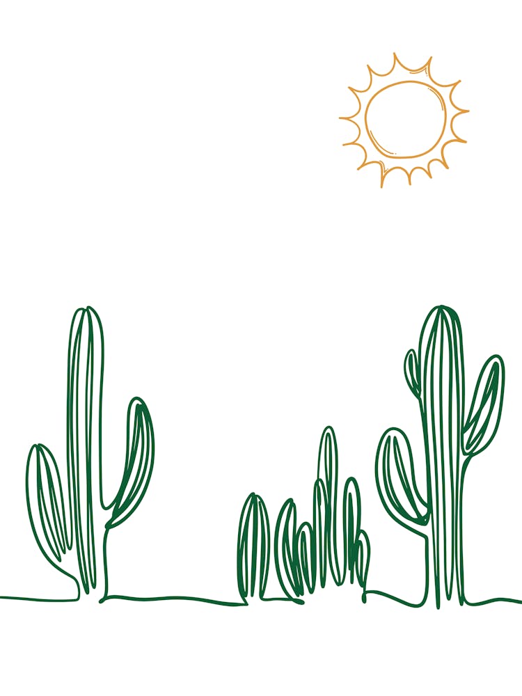 Cactus In The Desert