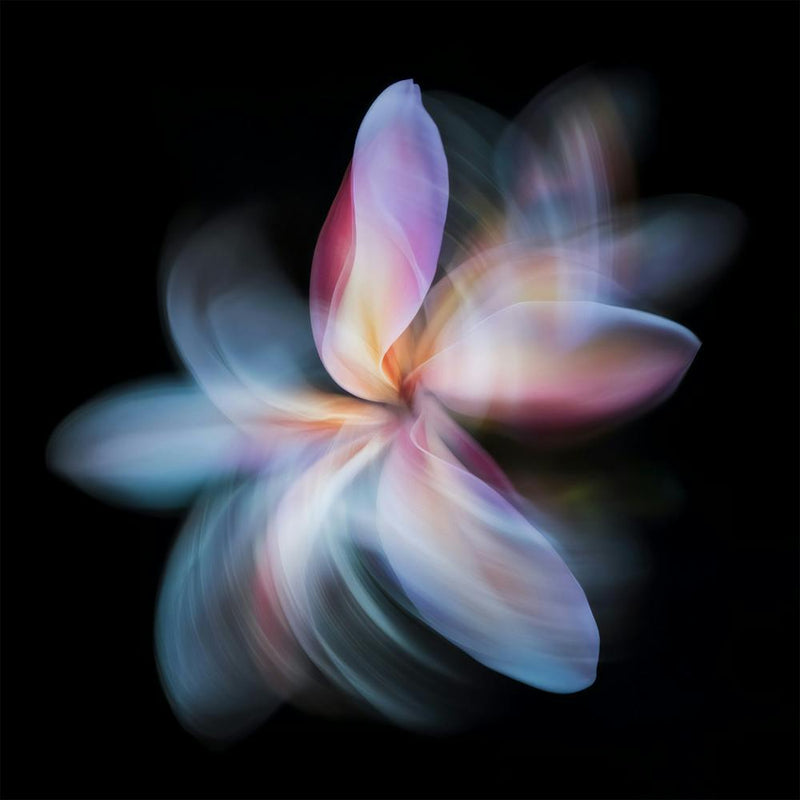 Flora 2