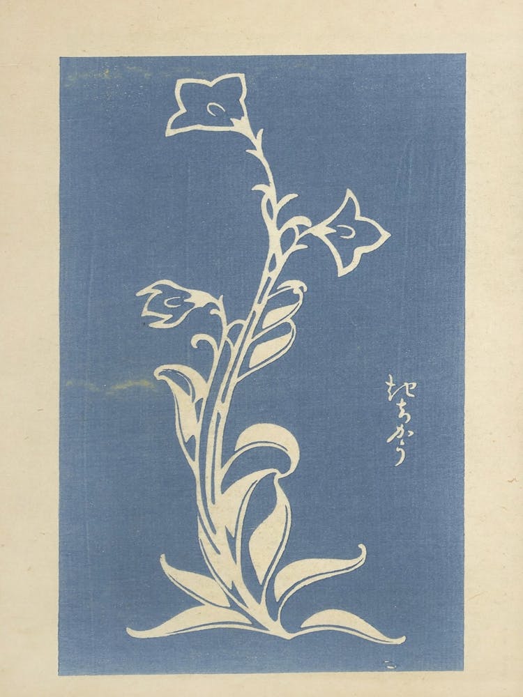 Koizumi