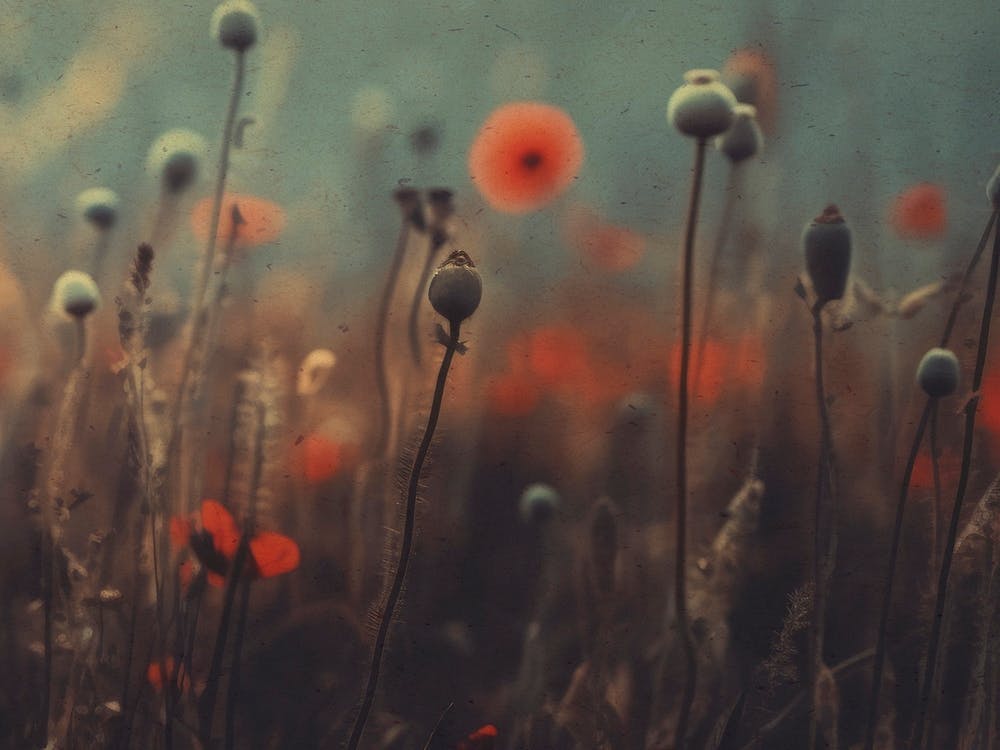 Nostalgische Natur Nr. 7