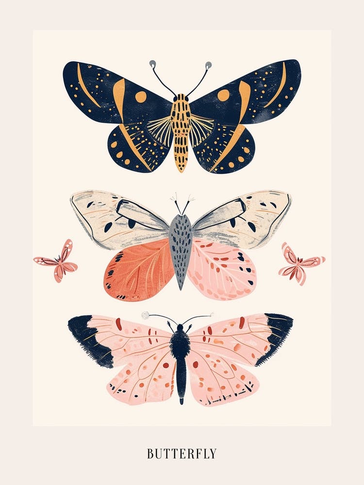 Colourful Insect Illustration Butterfly 18 Poster