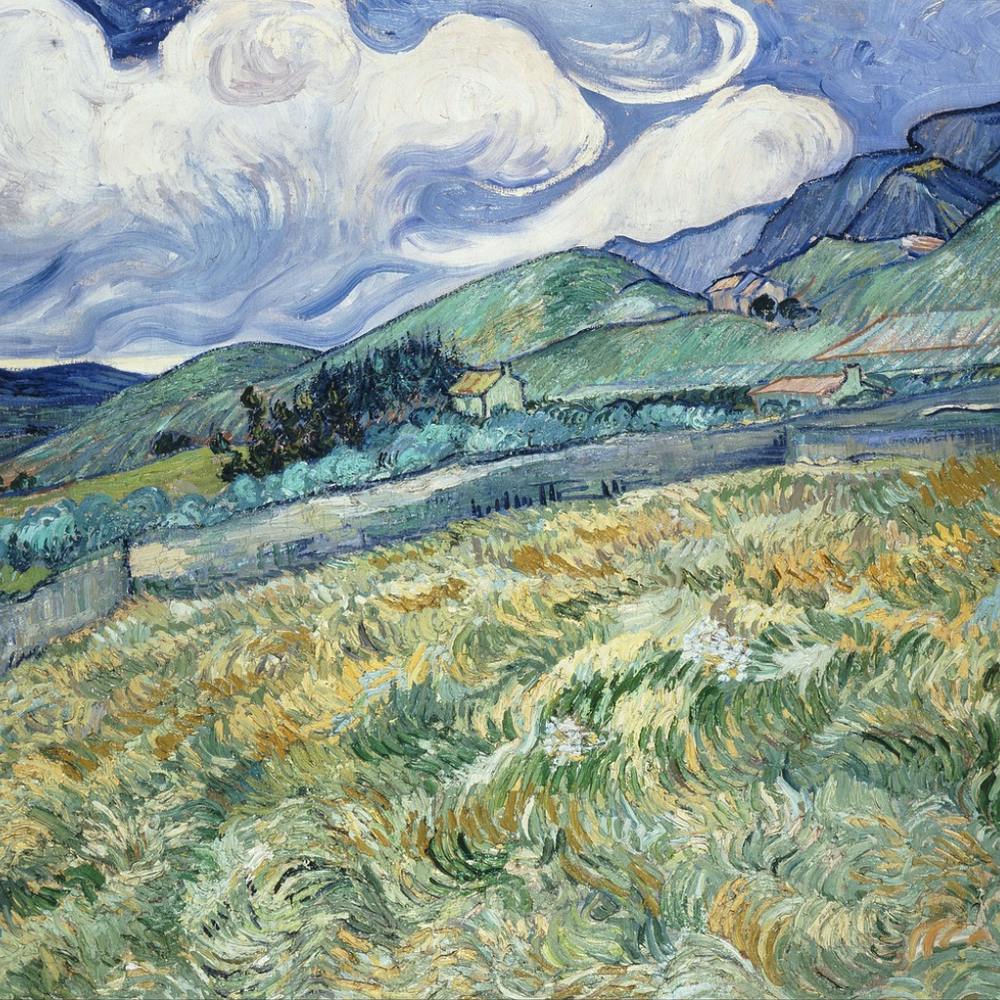 Field Of Wheat