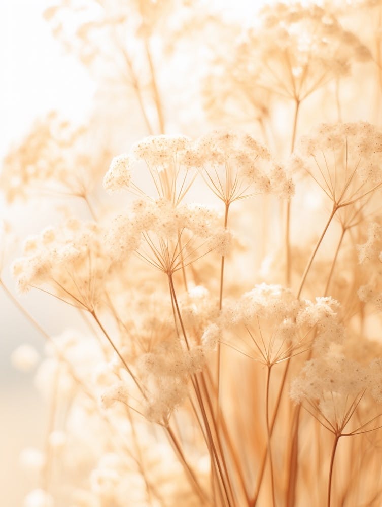 Boho Dried Flowers Babys Breath 1