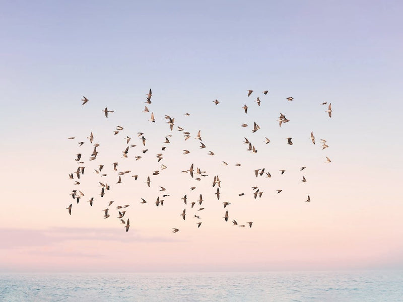 Pastel Sun