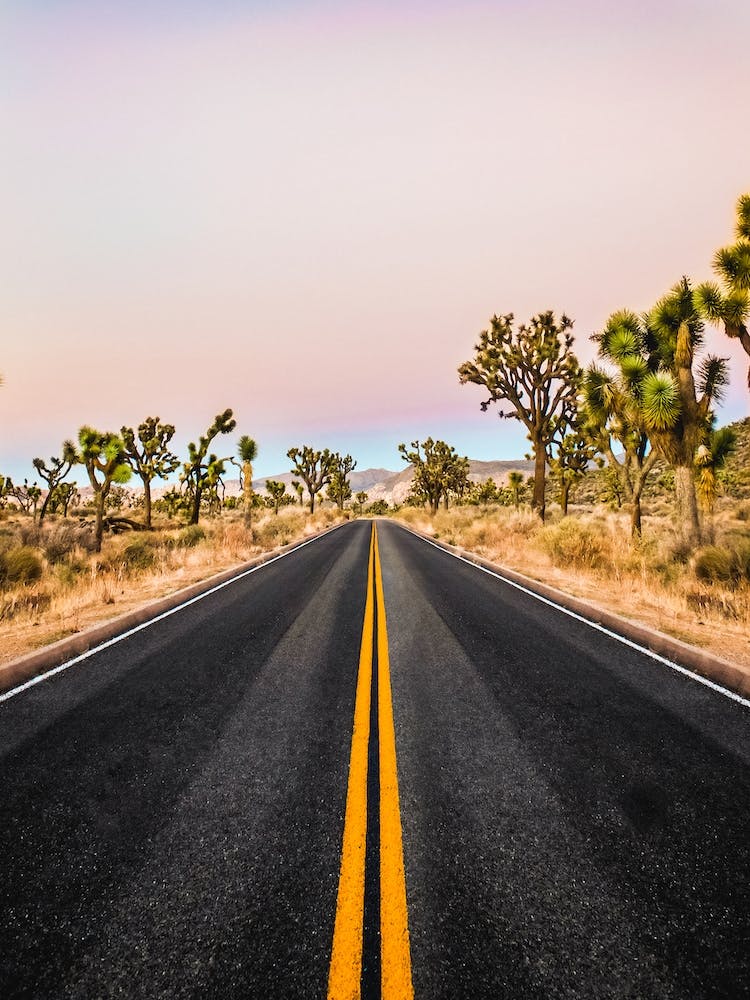 Joshua Tree National Park Sunset