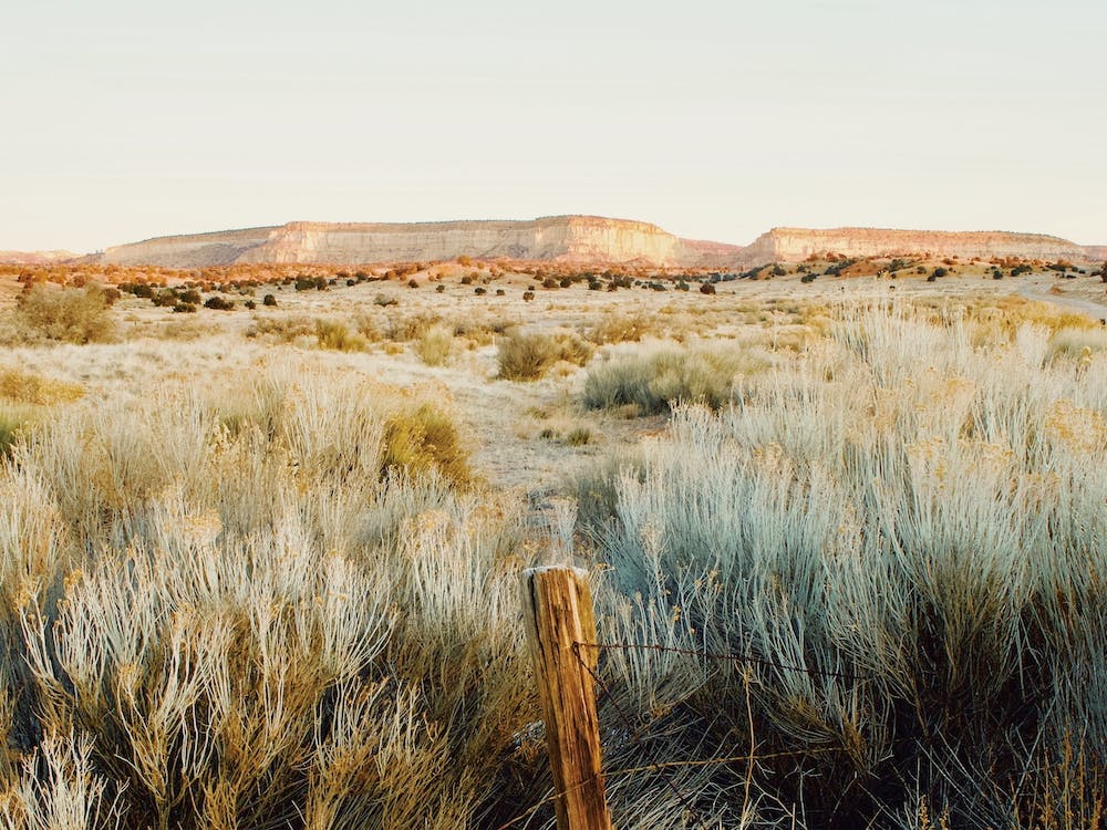 Sagebrush Desert