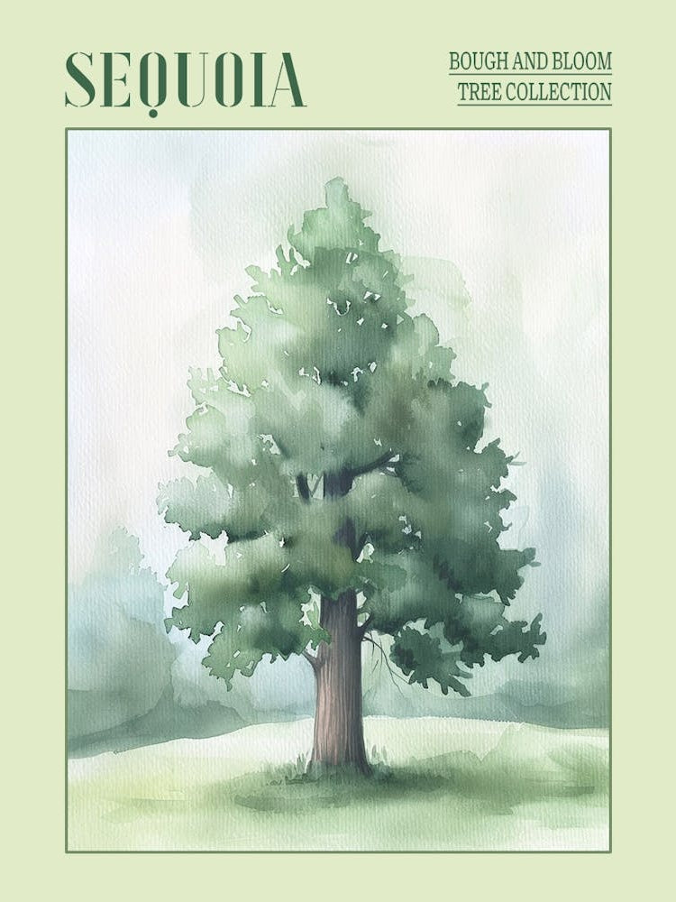 Sequoia Tree Atmospheric Watercolour Painting 1 Poster
