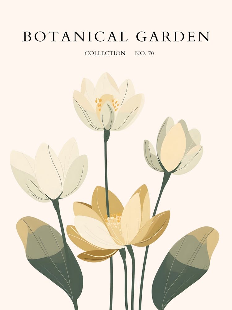 Botanical Garden 19