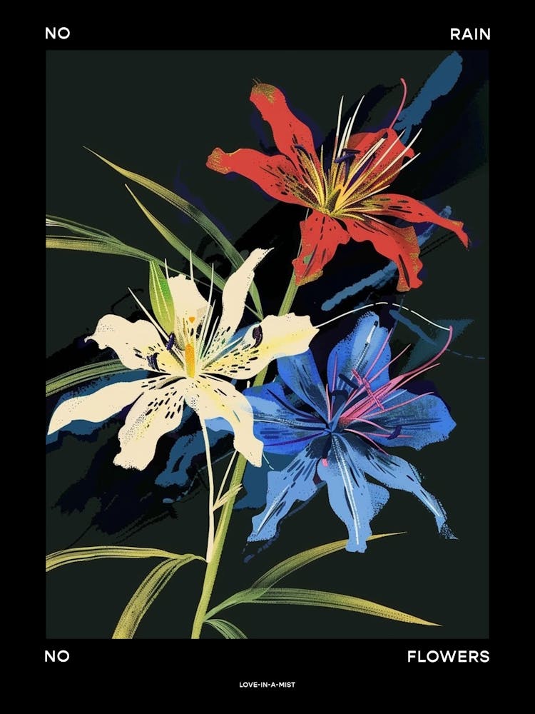 No Rain No Flowers Poster Love In A Mist Nigella 4