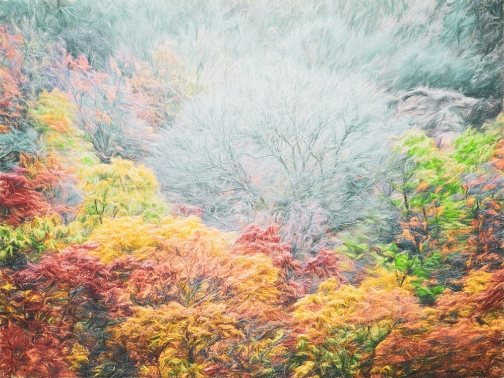 Frozen Hillside Tree