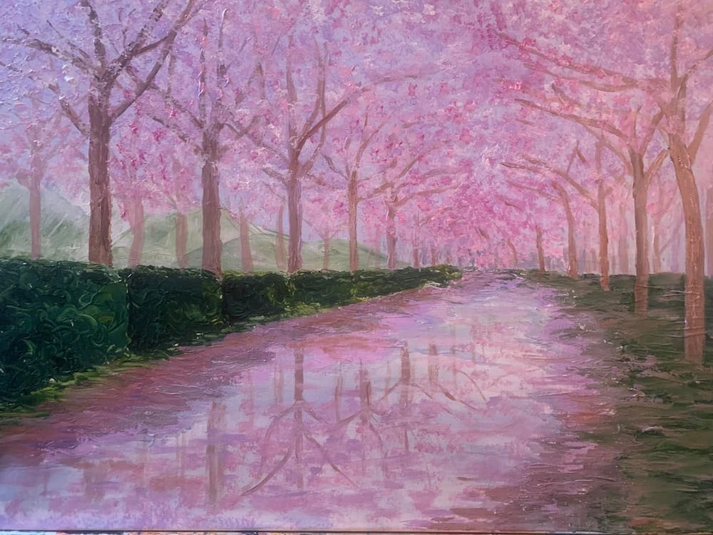 Cherry Blossoms