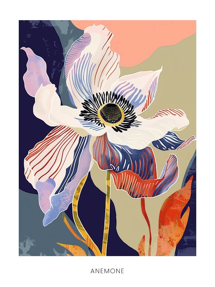 Colourful Flower Illustration Poster Anemone 3