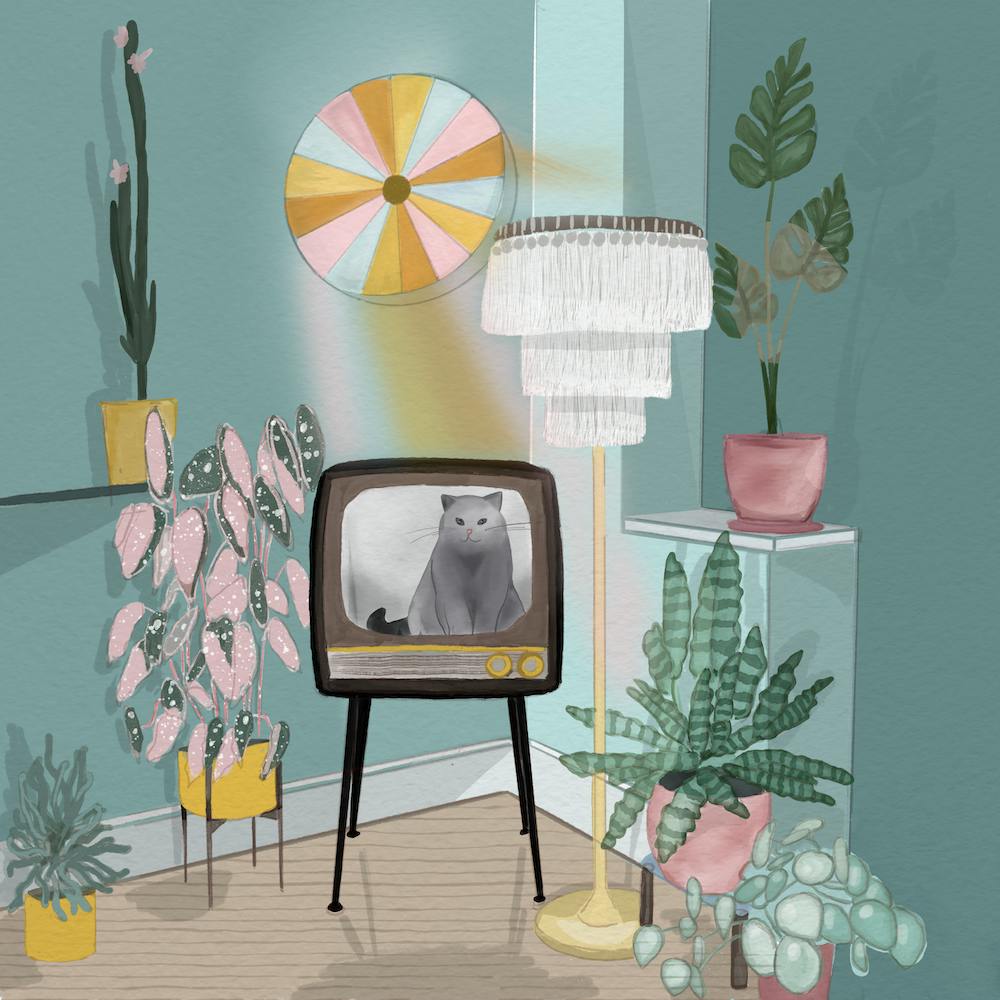 Cat in Tv Room