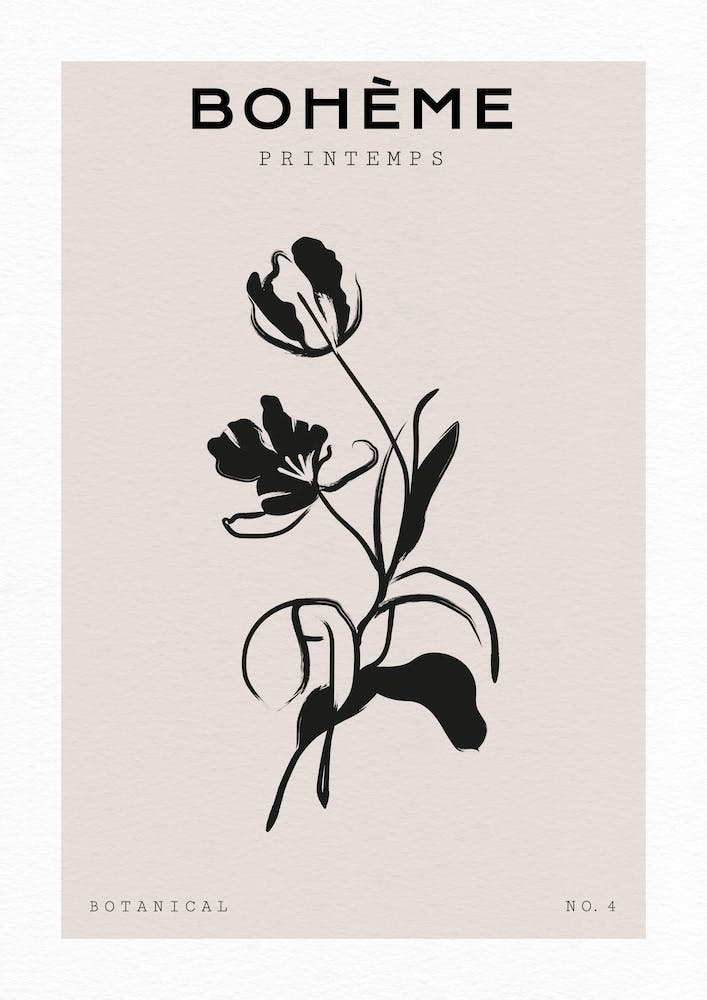 Boho Bohemian 1 Tulip