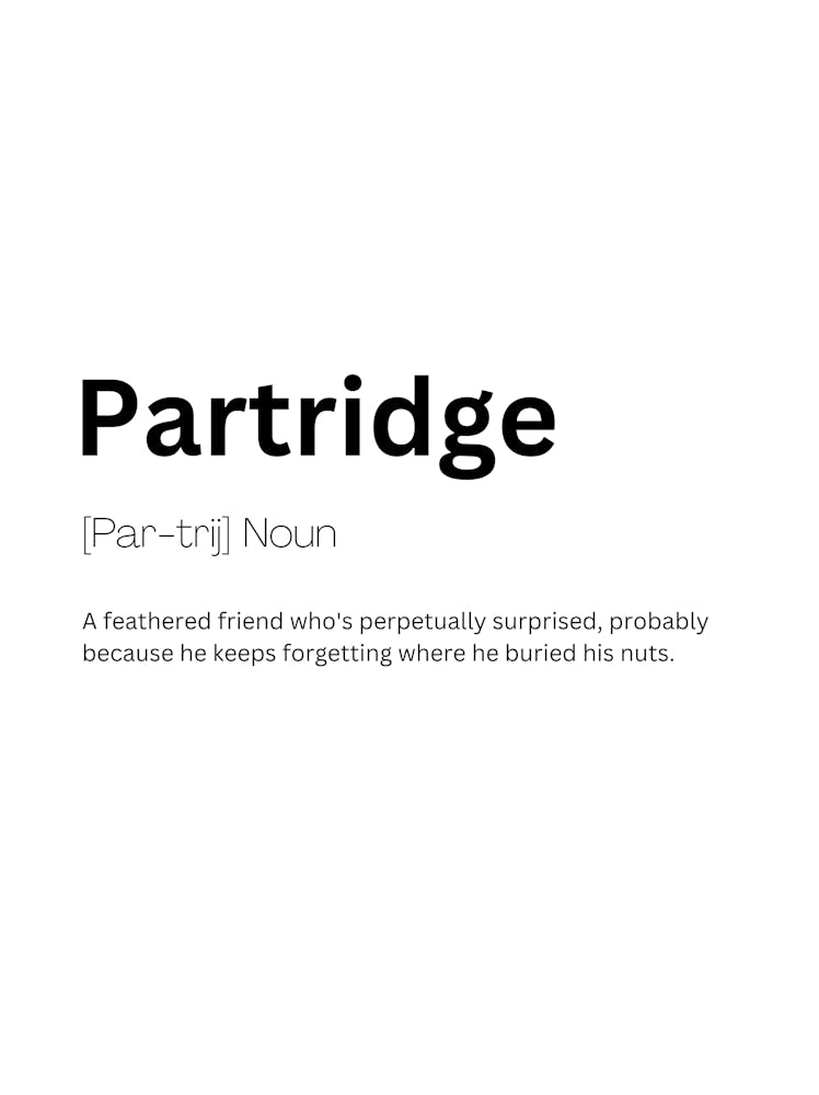 Partridge Definition Meaning 1