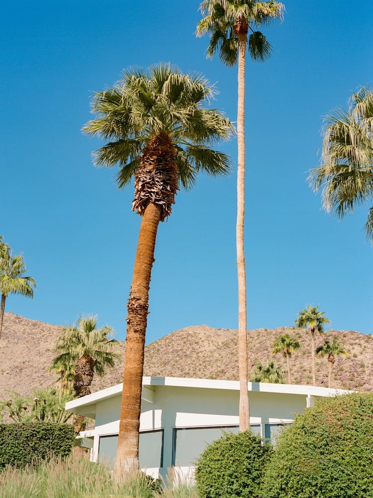 Palm Springs Architecture VI on Film