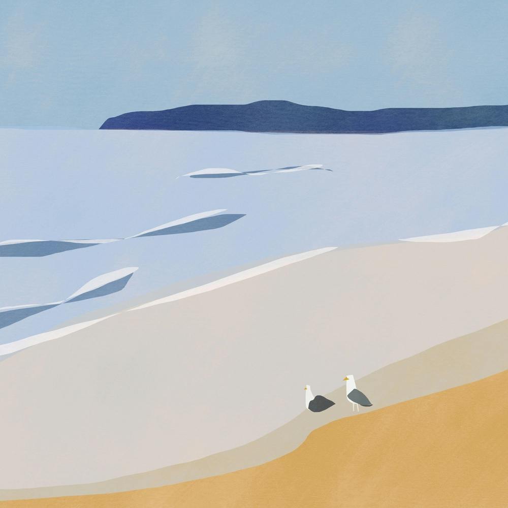 Goélands à la Plage - Carré