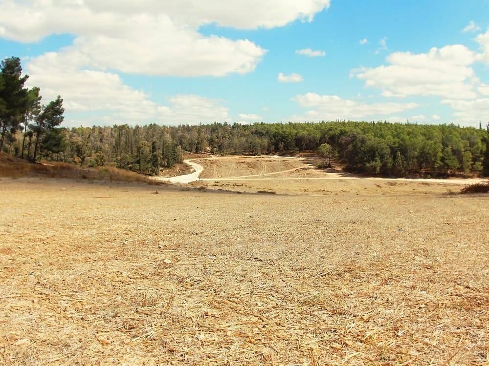 Rural Area On Summer Day