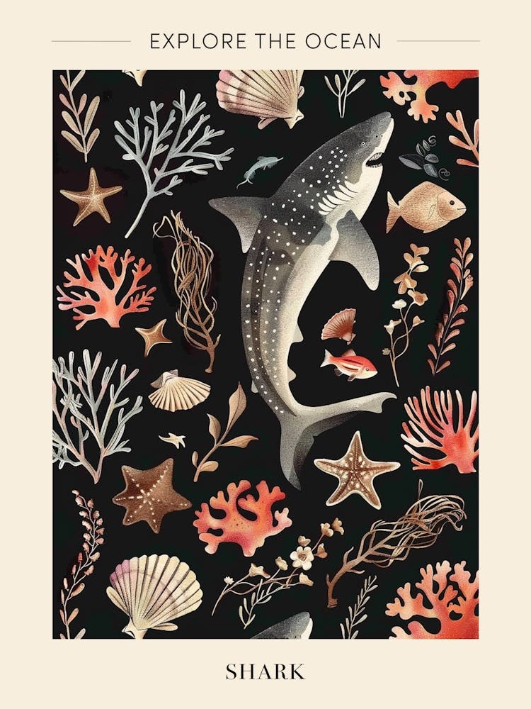 Shark Seascape Black Background Illustration 3 Poster
