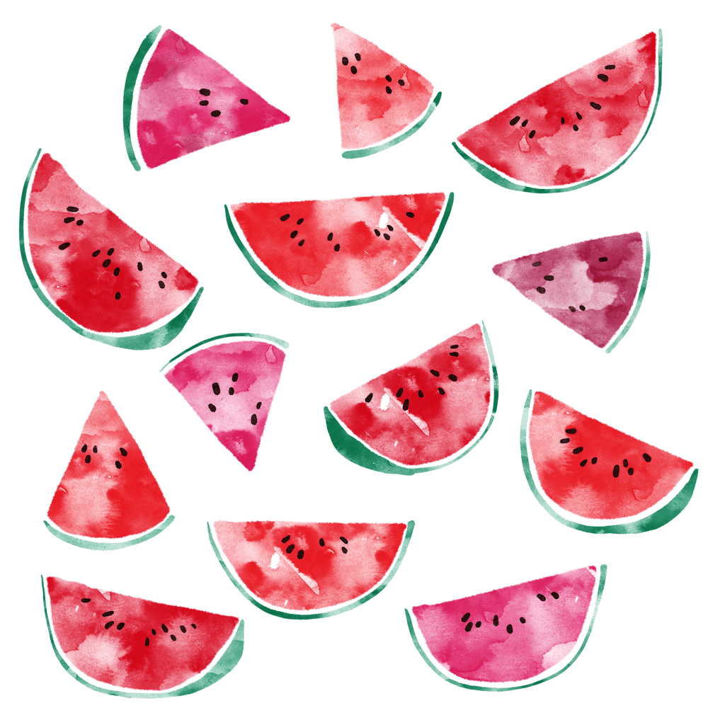 Wassermelonenscheiben 1