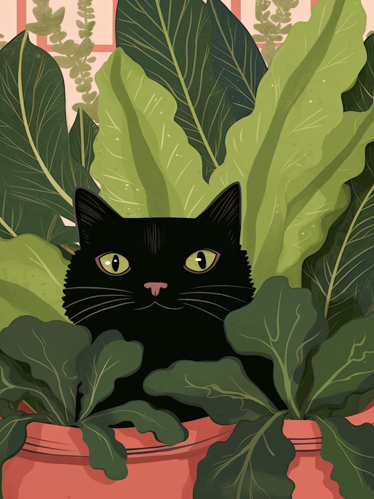 Black Cat And House Plants 14