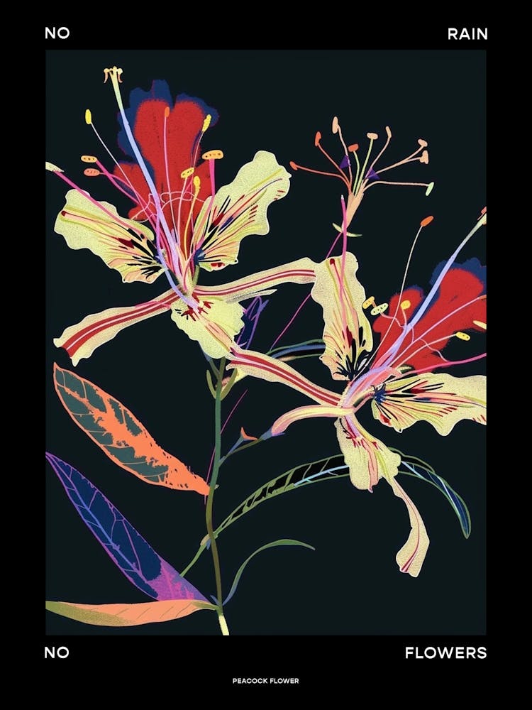 No Rain No Flowers Poster Peacock Flower 3