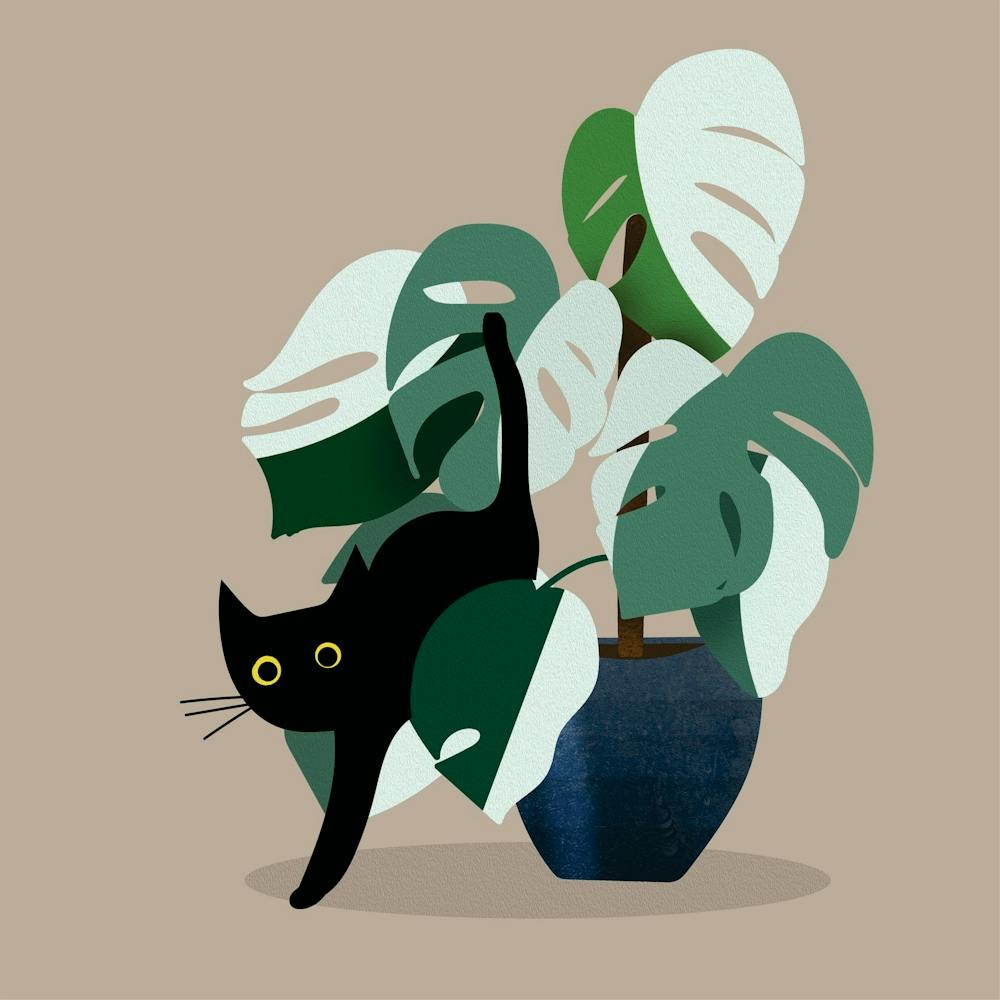 Cat In A Pot Wall Art