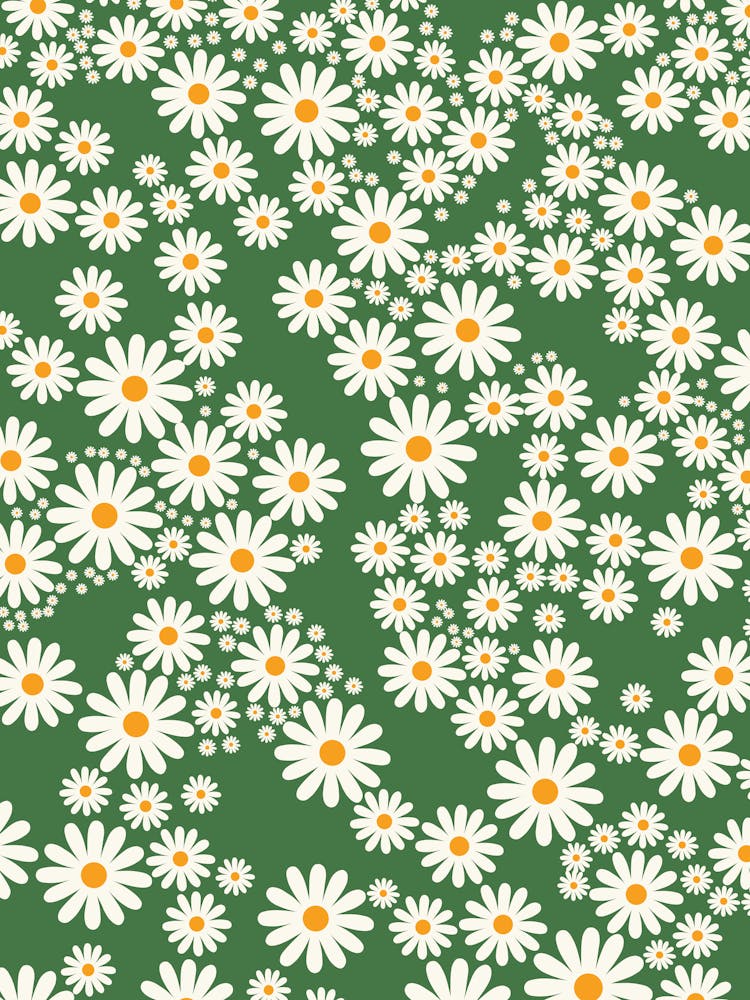 Daisy Garden | 01
