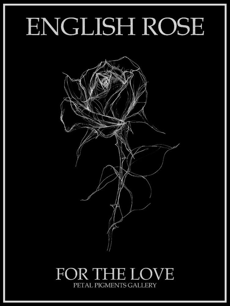 English Rose Black And White Line Drawing 39 Poster Inverted