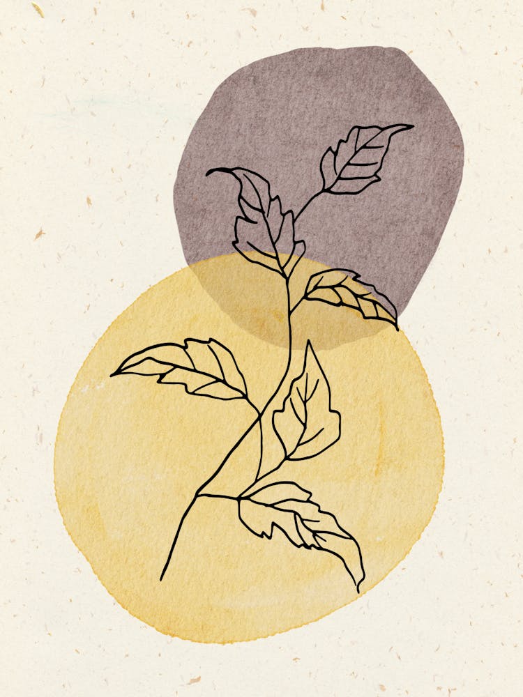 Leaf In A Circle