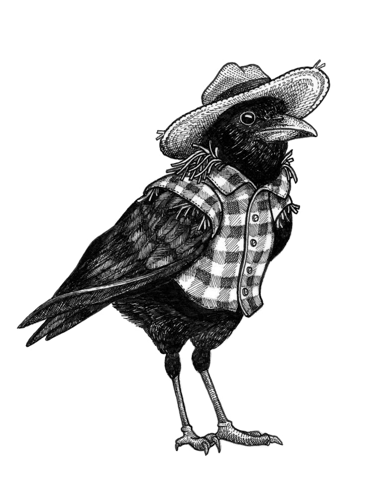 Scarecrow Illustration in Ink Portrait