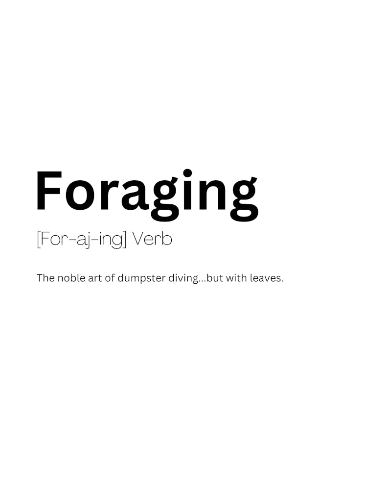 Foraging Definition Meaning 1