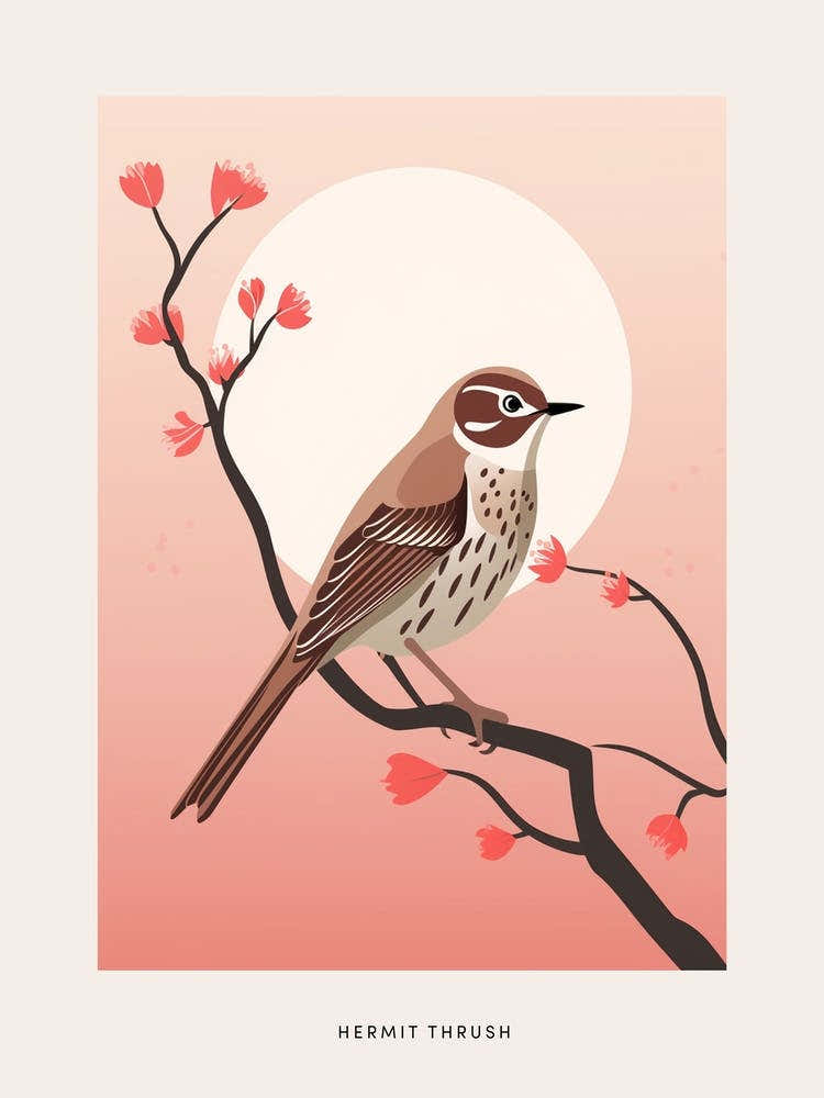Minimalist Hermit Thrush 1 Bird Poster