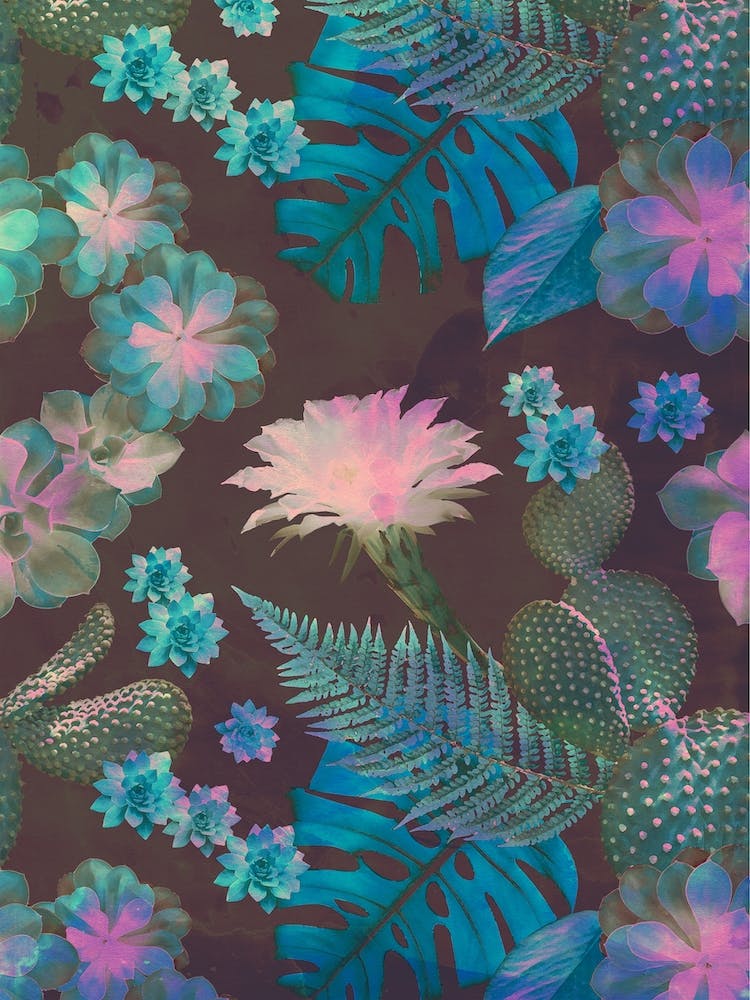 Exotic Gloomy Garden