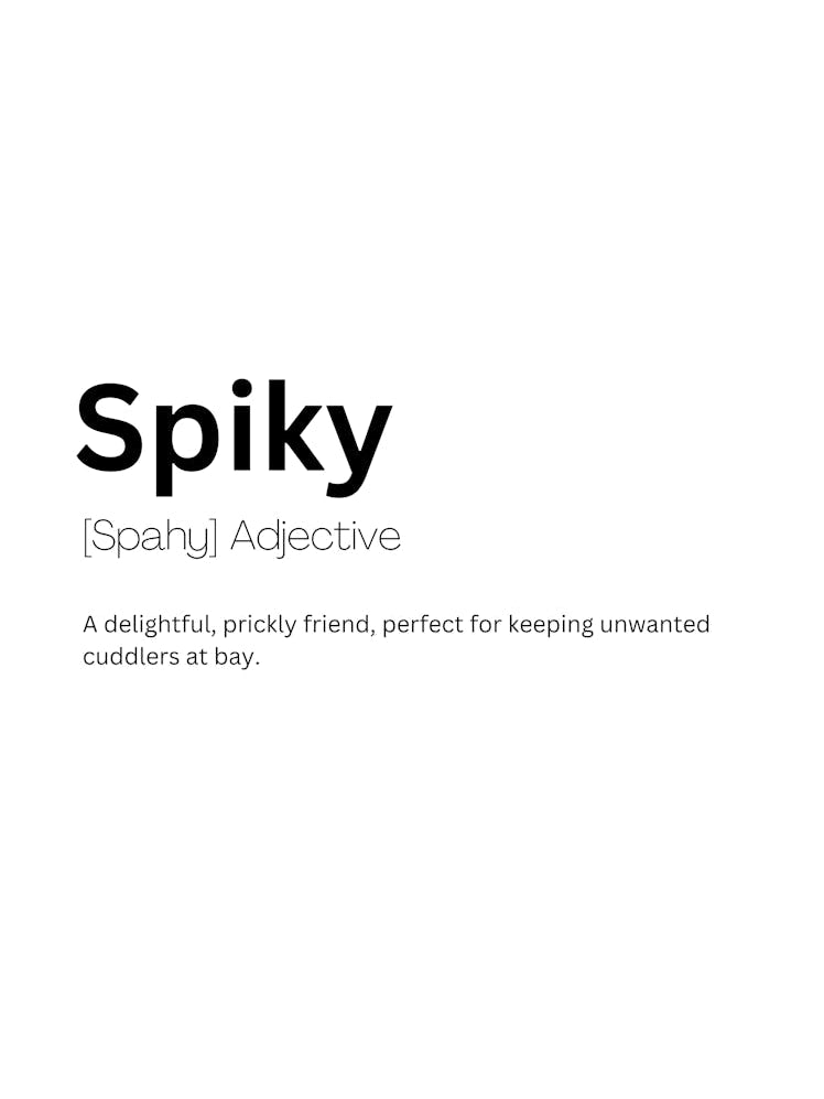 Spiky Definition Meaning
