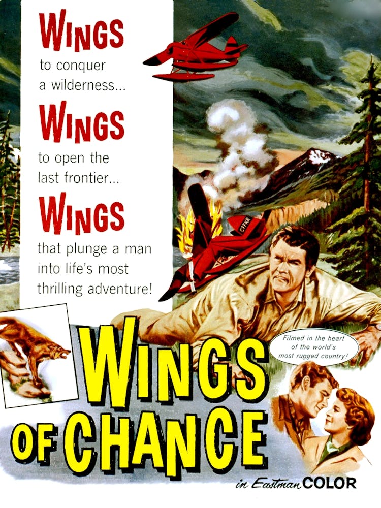 Wings Of Chance, Movie Poster